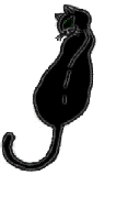 [Author Picture or Graphic]